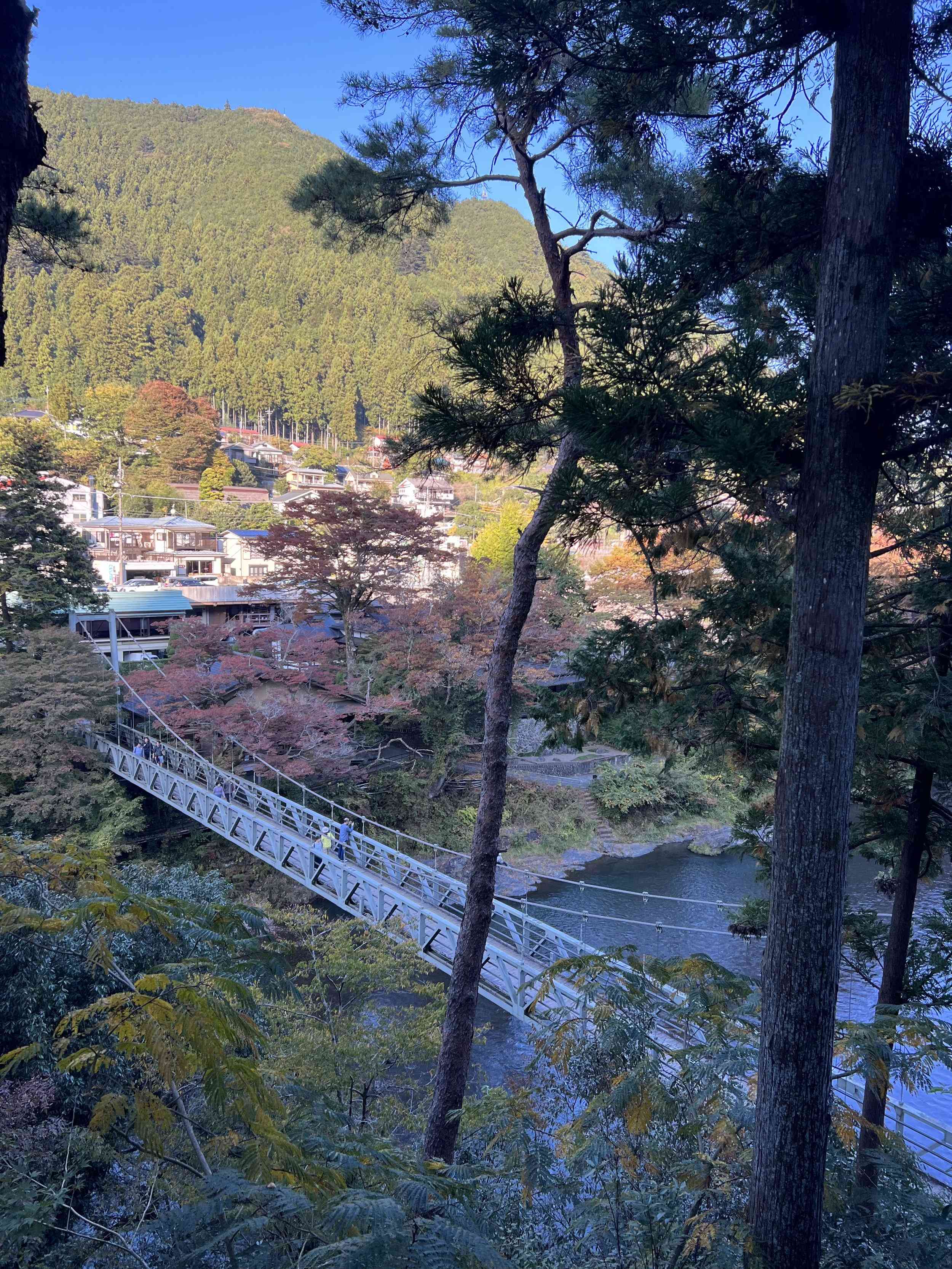 🏞️ 미타케 계곡(御岳渓谷) 이미지 6